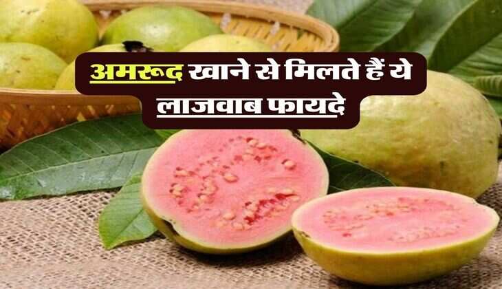 अमरूद खाने से मिलते हैं ये लाजवाब फायदे, डाइटीशियन भी देते हैं खाने की सलाह
