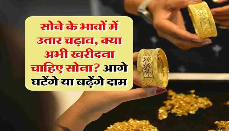 Gold Rate : सोने के भावों में उतार चढ़ाव, क्या अभी खरीदना चाहिए सोना? आगे घटेंगे या बढ़ेंगे दाम, जानिए एक्सपर्ट की राय