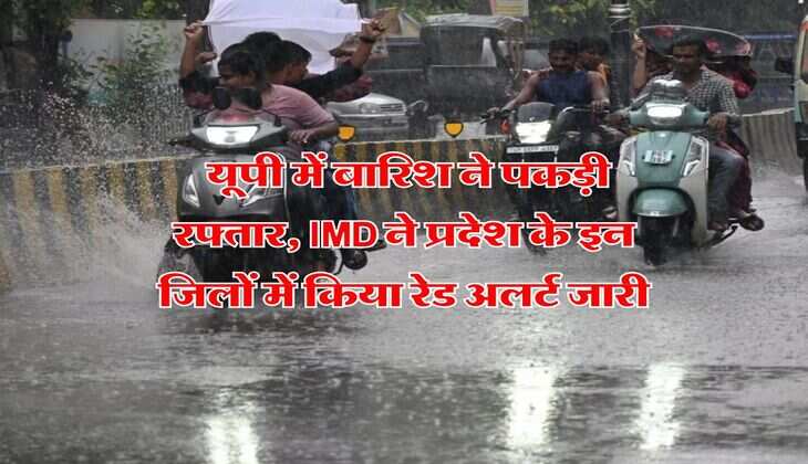UP Rain : यूपी में बारिश ने पकड़ी रफ्तार, IMD ने प्रदेश के इन जिलों में किया रेड अलर्ट जारी