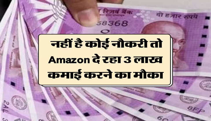 business idea : नहीं है कोई नौकरी तो Amazon दे रहा 3 लाख कमाई करने का मौका