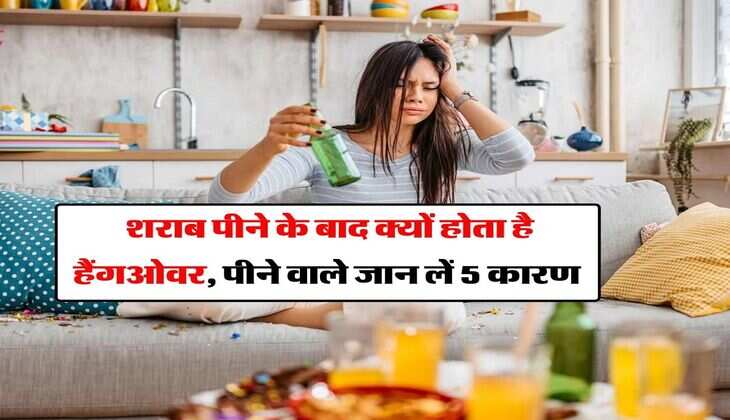 Wine Beer : शराब पीने के बाद क्यों होता है हैंगओवर, पीने वाले जान लें 5 कारण