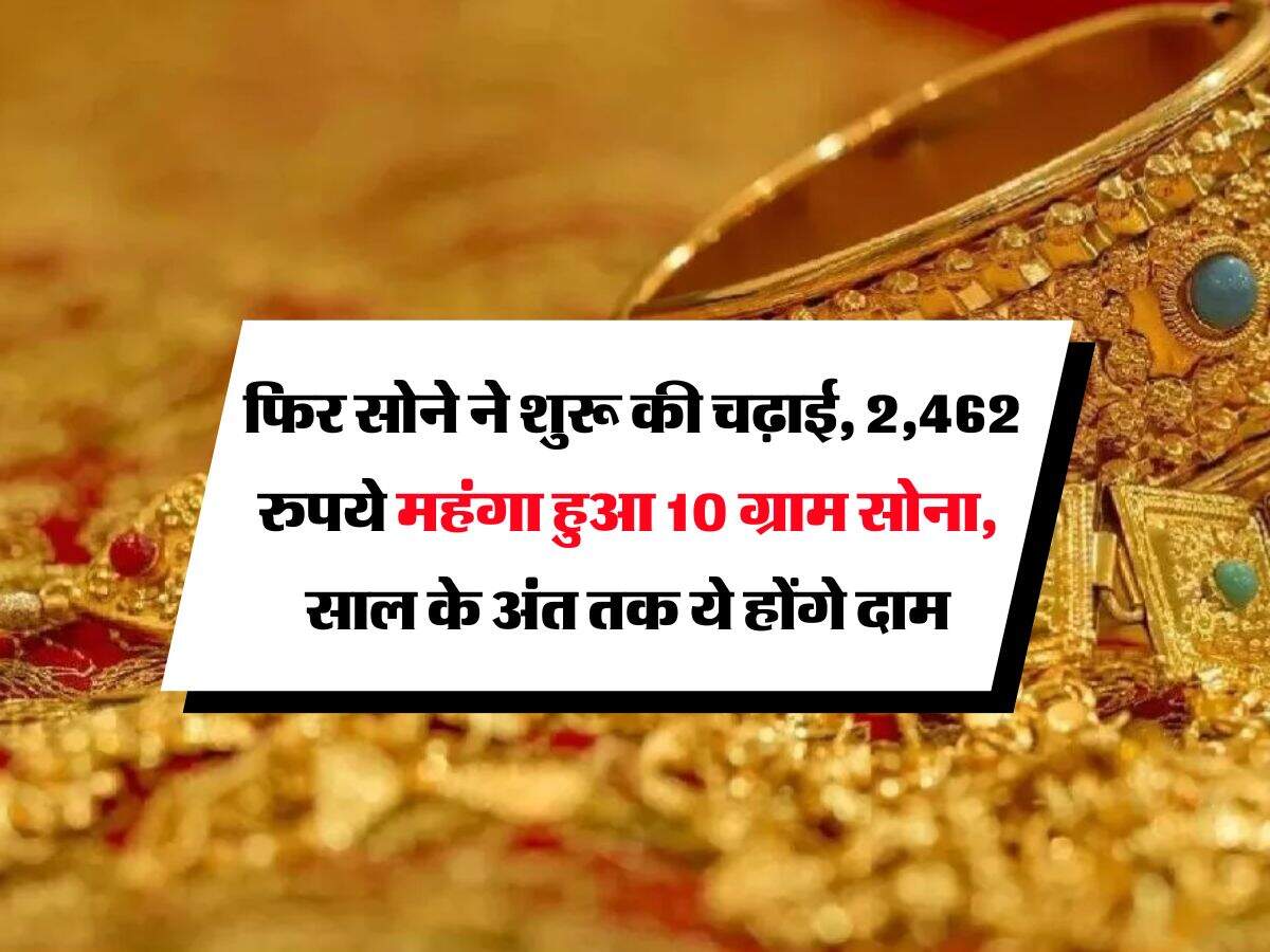 Gold Rate : फिर सोने ने शुरू की चढ़ाई, 2,462 रुपये महंगा हुआ 10 ग्राम सोना, साल के अंत तक ये होंगे दाम