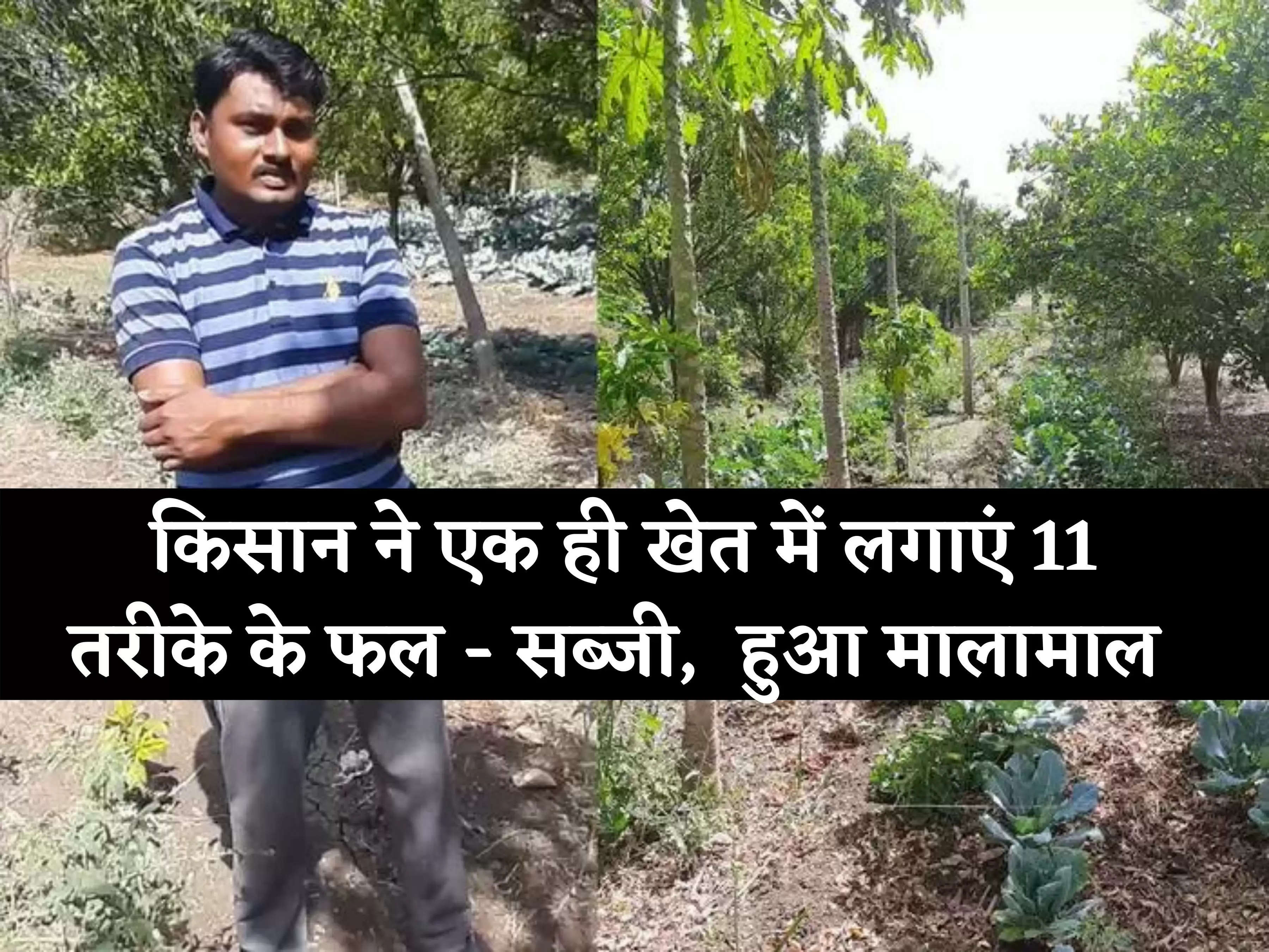 Mixed Farming: किसान ने एक ही खेत में लगाएं 11 तरीके के फल - सब्जी, मालामाल हुआ किसान 