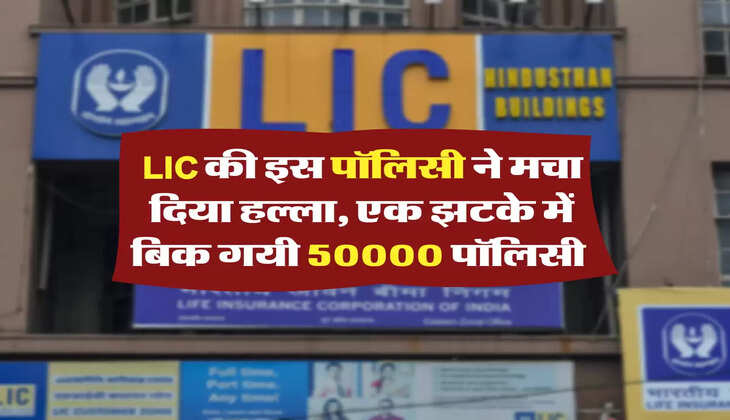 LIC of india