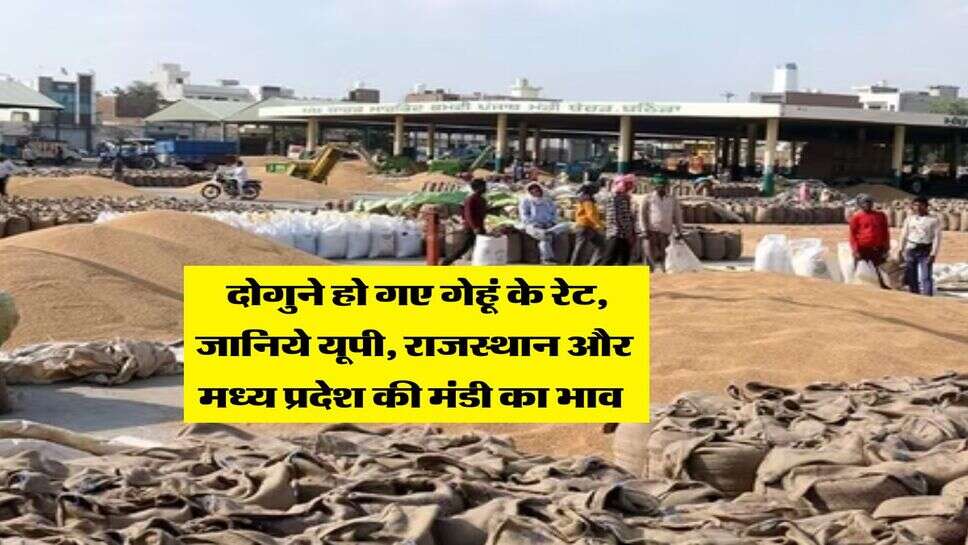 Gehu Ka Bhav : दोगुने हो गए गेहूं के रेट, जानिये यूपी, राजस्थान और मध्य प्रदेश की मंडी का भाव&nbsp;