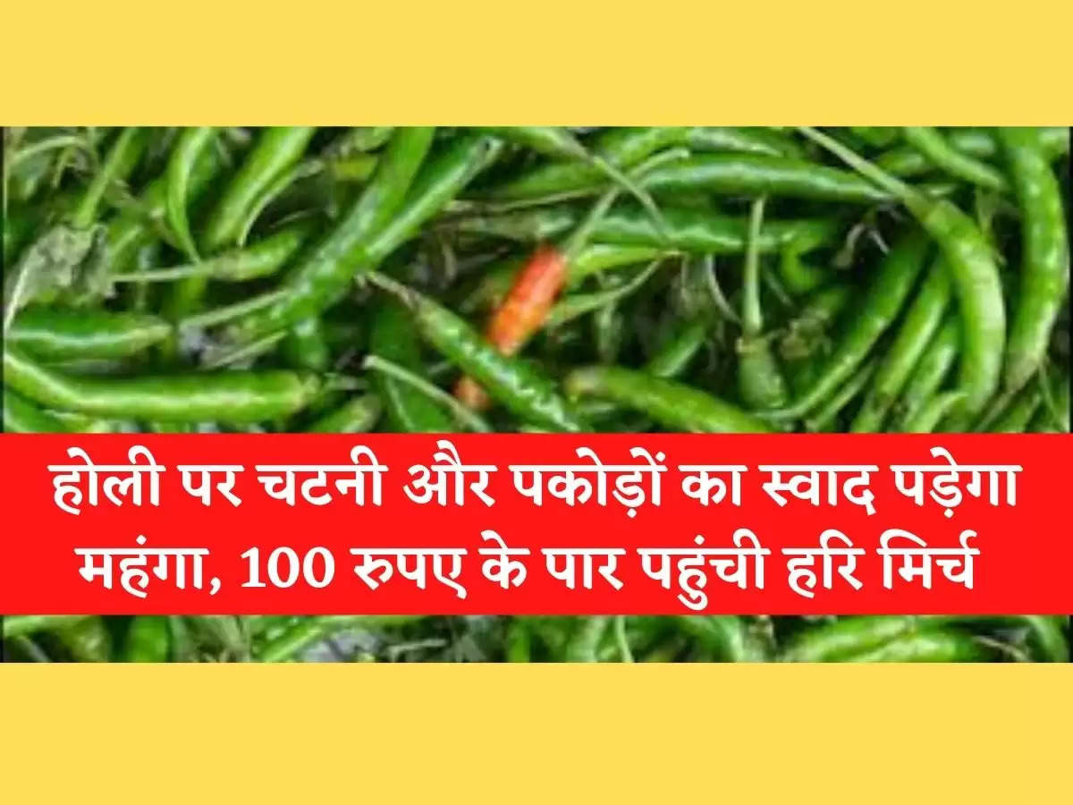 chilli price hike होली पर चटनी और पकोड़ों का स्वाद पड़ेगा महंगा, 100 रुपए के पार पहुंची हरि मिर्च