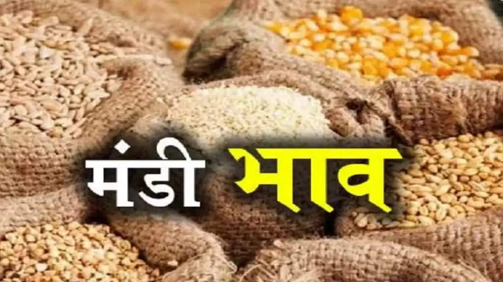 aaj ka mandi bhav