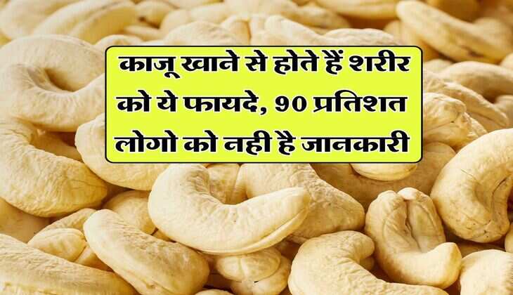 Cashews Benefits : काजू खाने से होते हैं शरीर को ये फायदे, 90 प्रतिशत लोगो को नही है जानकारी