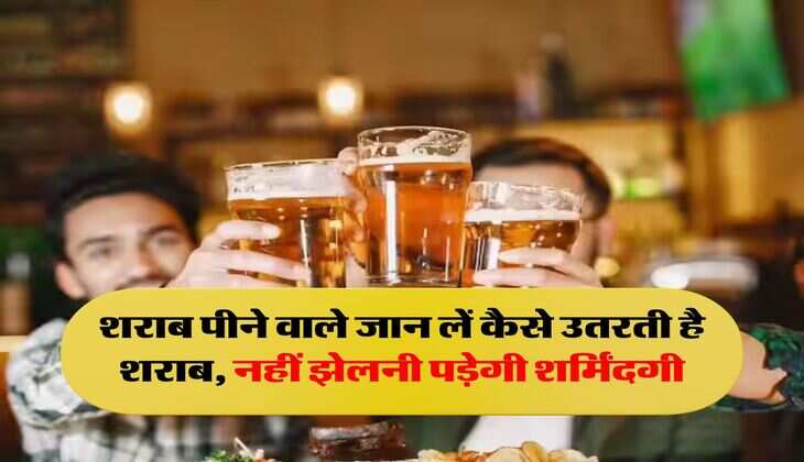 Wine Beer : शराब पीने वाले जान लें कैसे उतरती है शराब, नहीं झेलनी पड़ेगी शर्मिंदगी