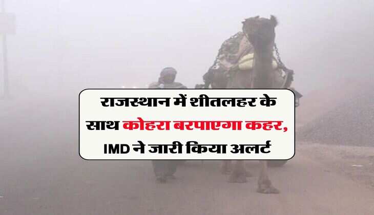 Rajasthan Weather Forecast : राजस्थान में शीतलहर के साथ कोहरा बरपाएगा&nbsp;कहर, IMD ने जारी किया अलर्ट