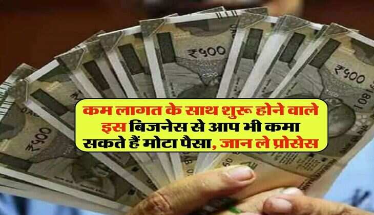 business idea : कम लागत के साथ शुरू होने वाले इस बिजनेस से आप भी कमा सकते हैं मोटा पैसा, जान ले प्रोसेस