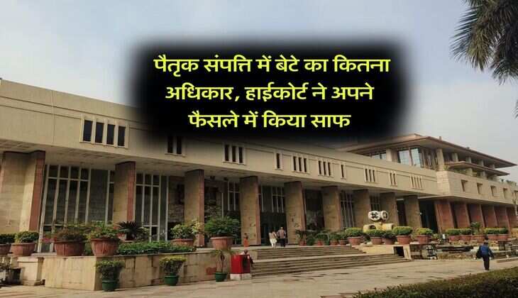 property rights : पैतृक संपत्ति में बेटे का कितना अधिकार, हाईकोर्ट ने अपने फैसले में किया साफ