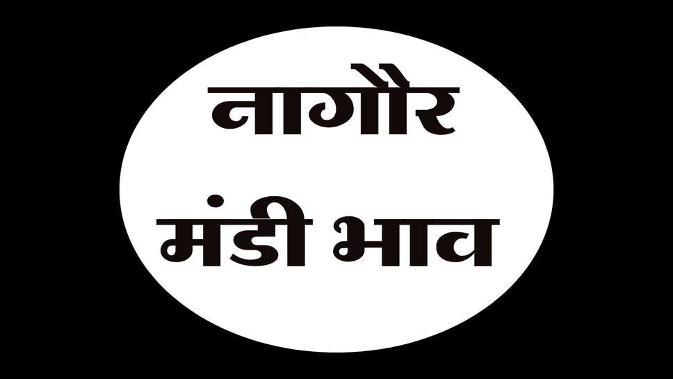 नागौर मंडी भाव 9 अक्टूबर 2026: ग्वार, मूंग, जीरा और चना के ताजा भाव, जानें तेजी-मंदी
