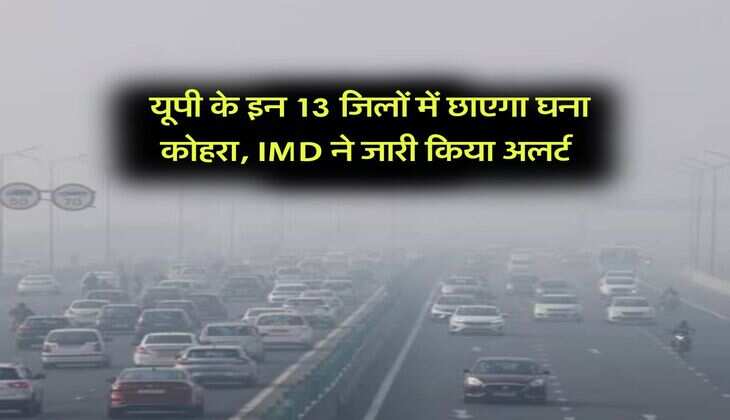 UP Weather : यूपी के इन 13 जिलों में छाएगा घना कोहरा, IMD ने जारी किया अलर्ट