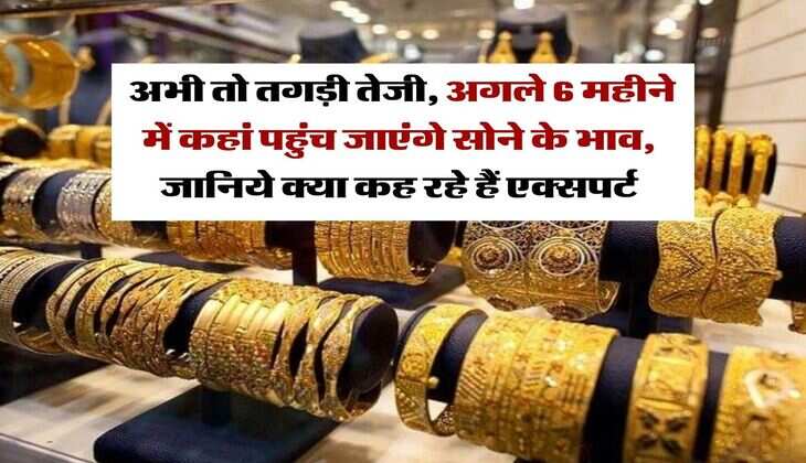 Gold Price Hike  अभी तो तगड़ी तेजी, अगले 6 महीने में कहां पहुंच जाएंगे सोने के भाव, जानिये क्या कह रहे हैं एक्सपर्ट