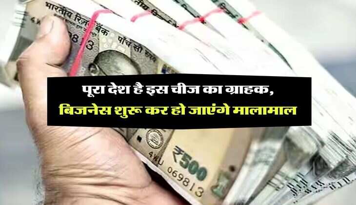 Business Idea : पूरा देश है इस चीज का ग्राहक, बिजनेस शुरू कर हो जाएंगे मालामाल