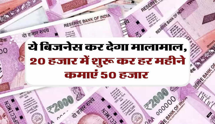 Business Ideas: ये बिजनेस कर देगा मालामाल, 20 हजार में शुरू कर हर महीने कमाएं 50 हजार 