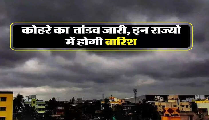 IMD Alert Live: पंजाब, हरियाणा, दिल्ली, एनसीआर सहित यूपी में कोहरे का  तांडव, इन राज्यो में होगी बारिश