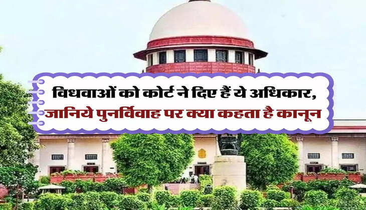 Property Rights : विधवाओं को कोर्ट ने दिए हैं ये अधिकार, जानिये पुनर्विवाह पर क्या कहता है कानून