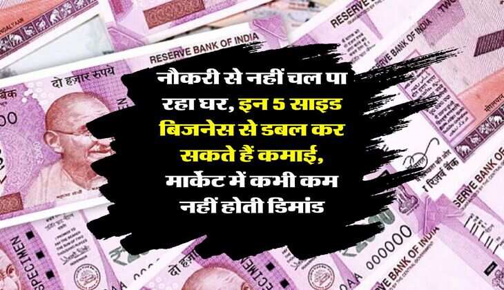 Business Ideas : नौकरी से नहीं चल पा रहा घर, इन 5 साइड बिजनेस से डबल कर सकते हैं कमाई, मार्केट में कभी कम नहीं होती डिमांड