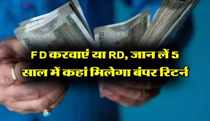 FD करवाएं या RD, जान लें 5 साल में कहां मिलेगा बंपर रिटर्न
