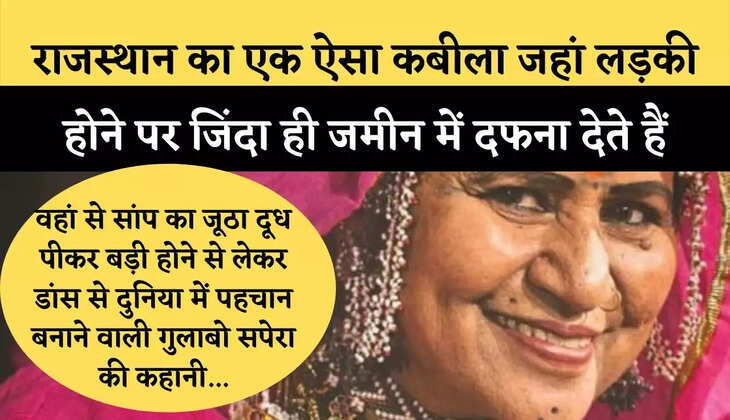 वहां से सांप का जूठा दूध पीकर बड़ी होने से लेकर डांस से दुनिया में पहचान बनाने वाली गुलाबो सपेरा की कहानी