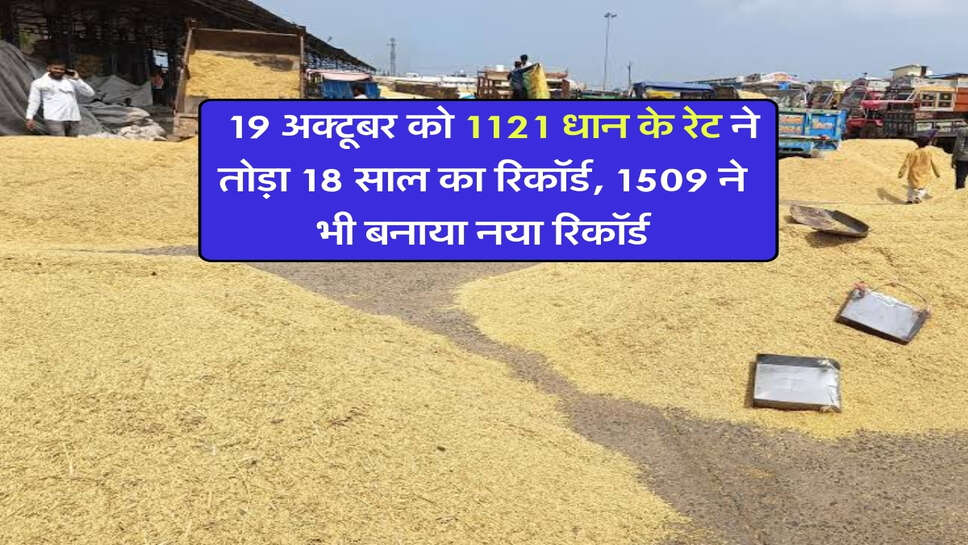 1121 Dhan price today : 19 अक्टूबर को 1121 धान के रेट ने तोड़ा 18 साल का रिकॉर्ड, 1509 ने भी बनाया नया रिकॉर्ड