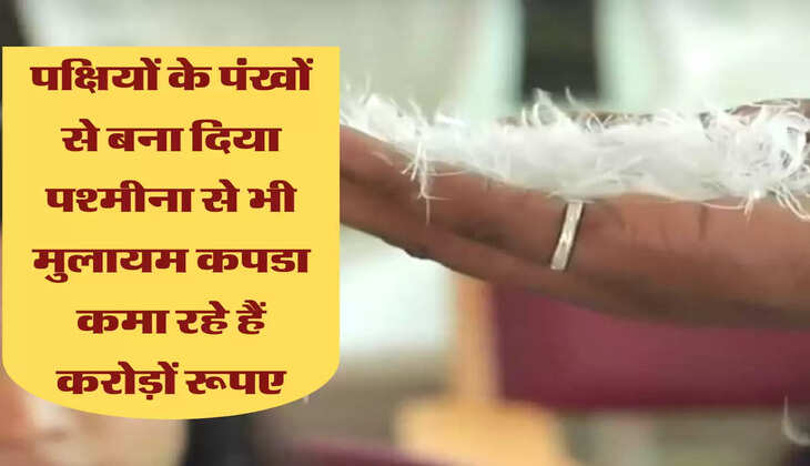 पक्षियों के पंखों से बना दिया पश्मीना से भी मुलायम कपडा, कमा रहे हैं करोड़ों रूपए&nbsp;