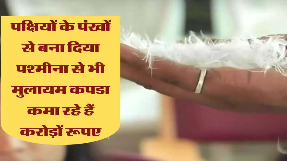 पक्षियों के पंखों से बना दिया पश्मीना से भी मुलायम कपडा, कमा रहे हैं करोड़ों रूपए&nbsp;
