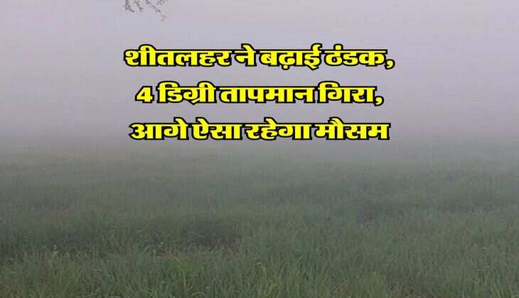 IMD Weather Update : शीतलहर ने बढ़ाई ठंडक, 4 डिग्री तापमान गिरा, आगे ऐसा रहेगा मौसम