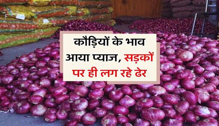 Pyaz ka Bhav : कौड़ियों के भाव आया प्याज, सड़कों पर ही लग रहे ढेर