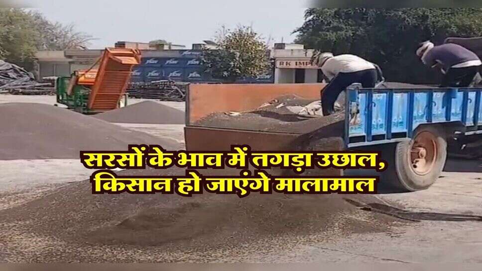 sarso rate &nbsp;: सरसों के भाव में तगड़ा उछाल, किसान हो जाएंगे मालामाल
