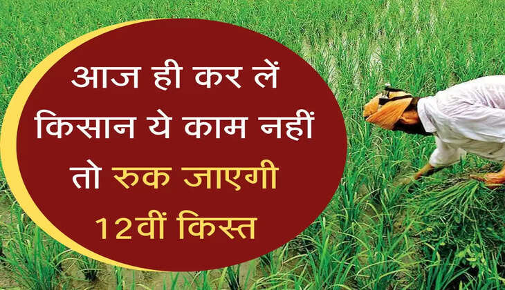 PM Kisan: आज ही कर लें किसान ये काम नहीं तो रुक जाएगी 12वीं किस्त, जानें डिटेल्स&nbsp;&nbsp;