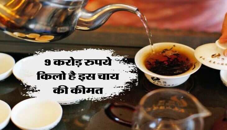 Most Expensive Tea : 9 करोड़ रुपये किलो है इस चाय की कीमत, पत्तियों पर होता है खाद्य 24-कैरेट गोल्ड फ्लेक्स का छिड़काव