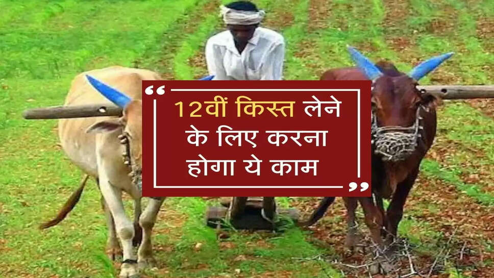 12वीं किस्त लेने के लिए करना होगा ये काम, सरकार ने बनाया नया नियम&nbsp;&nbsp;
