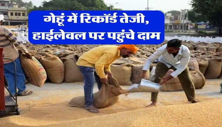 wheat rate 18 july 2025 : गेहूं में रिकॉर्ड तेजी, हाईलेवल पर पहुंचे दाम