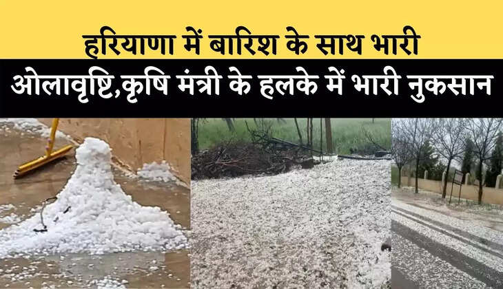 हरियाणा में बारिश के साथ भारी ओलावृष्टि,कृषि मंत्री के हलके में भारी नुकसान