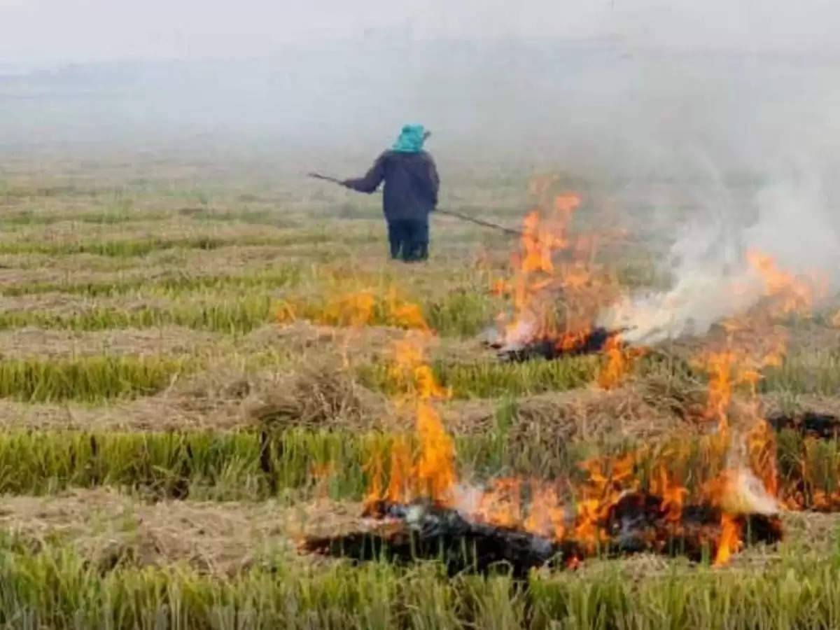 अब नहीं जलानी पड़ेगी पराली ( Now you will not have to burn stubble)