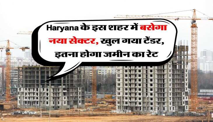 Haryana के इस शहर में बसेगा नया सेक्टर, खुल गया टेंडर, इतना होगा जमीन का रेट