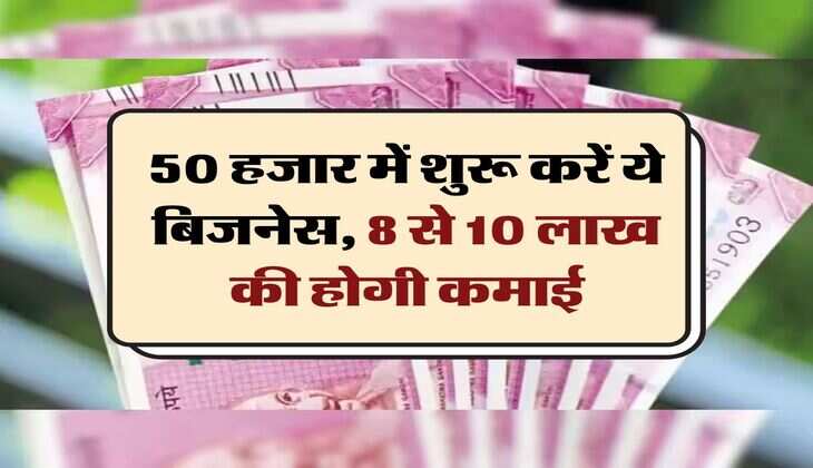 Business Ideas : 50 हजार में शुरू करें ये बिजनेस, 8 से 10 लाख की होगी कमाई
