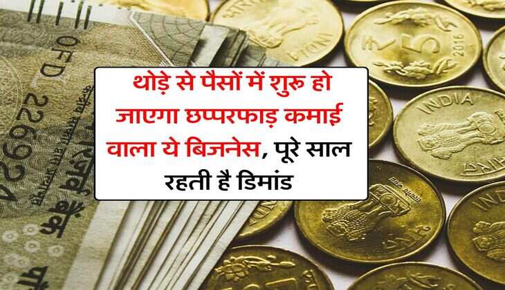 Business Idea : थोड़े से पैसों में शुरू हो जाएगा छप्परफाड़ कमाई वाला ये बिजनेस, पूरे साल रहती है डिमांड