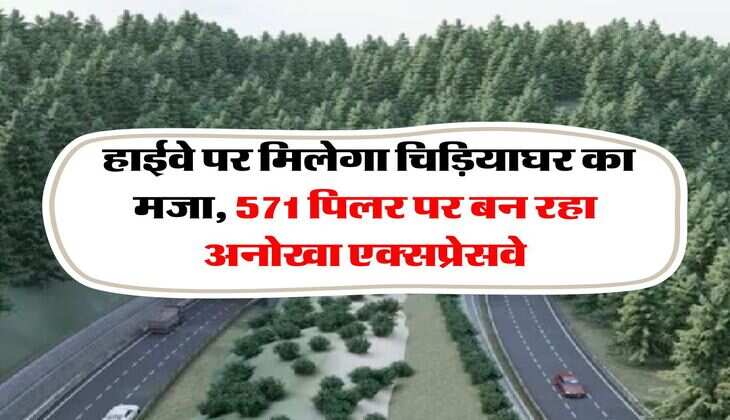Delhi Dehradun Expressway : हाईवे पर मिलेगा चिड़ियाघर का मजा, 571 पिलर पर बन रहा अनोखा एक्सप्रेसवे