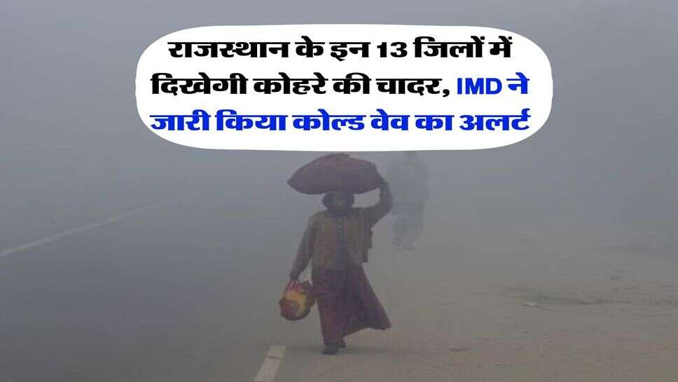 Rajasthan Winter: राजस्थान के इन 13 जिलों में दिखेगी कोहरे की चादर, IMD ने जारी किया कोल्ड वेव का अलर्ट