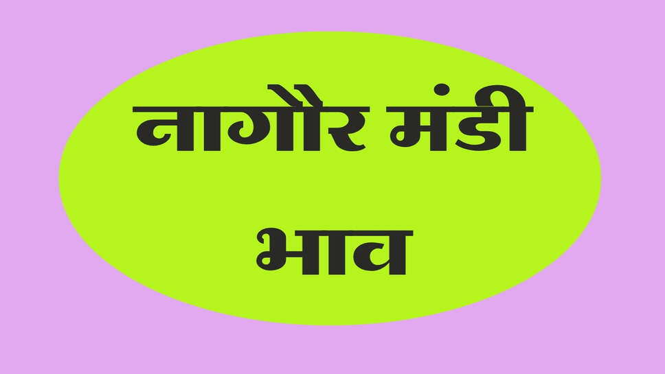 नागौर मंडी भाव 19 अक्टूबर 2026: ग्वार, मूंग, जीरा, इसबगोल और तिल के ताजा रेट