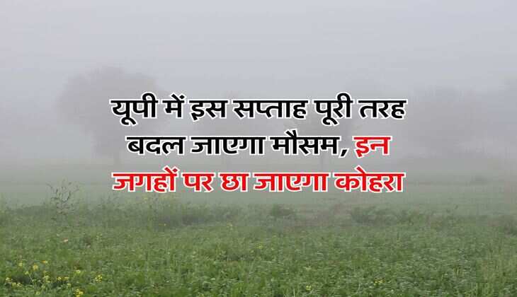 Delhi Cheapest Market : दिल्ली के इन मार्केट में मिलेंगे स्टाइलिश कपड़े, 300 में मिल जाएगी हुडी&nbsp;