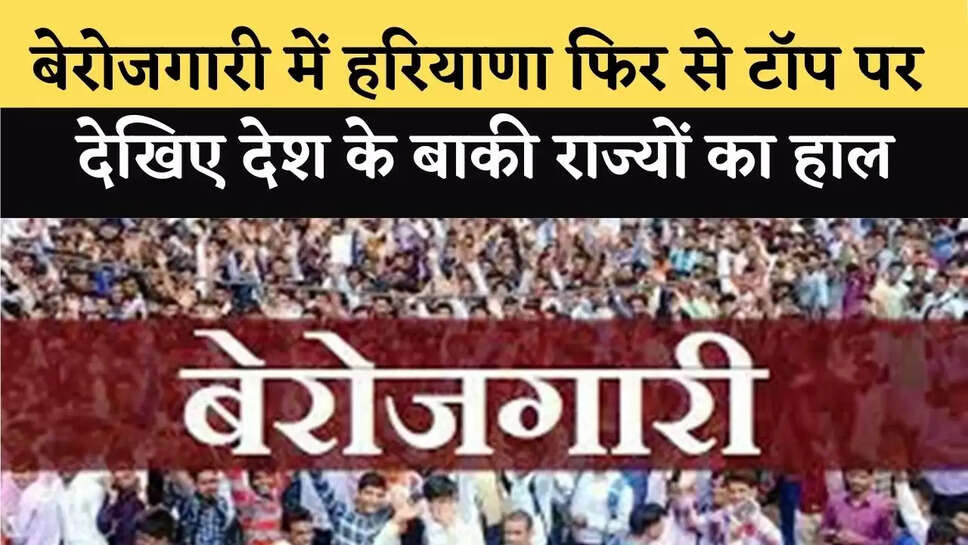 haryana news