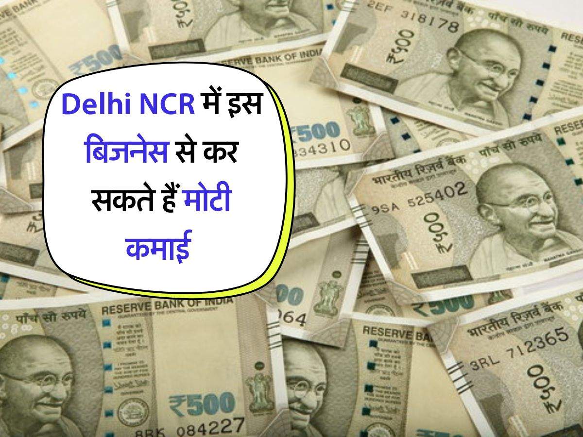 Delhi NCR में इस बिजनेस से कर सकते हैं मोटी कमाई, 50 हजार में हो जाएगा शुरू