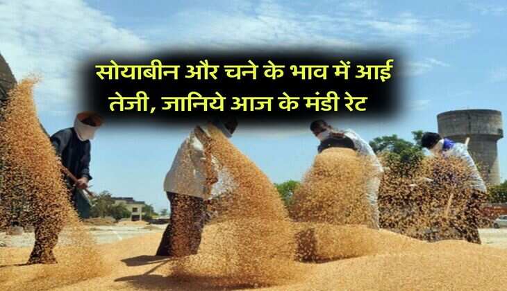 Kota Mandi Bhav : साेयाबीन और चने के भाव में आई तेजी, जानिये आज के मंडी रेट