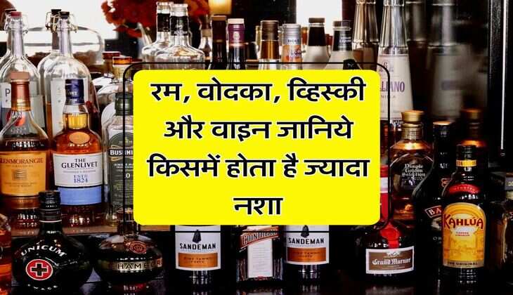 Liquor : रम, वोदका, व्हिस्&zwj;की और वाइन जानिये किसमें होता है ज्यादा नशा, पीने वाले जरूर जान लें ये बात&nbsp;