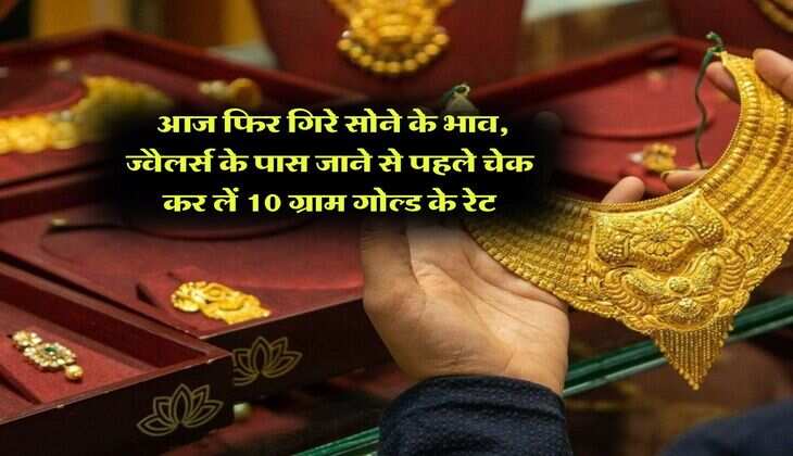 Gold Rate : आज फिर गिरे सोने के भाव, ज्वैलर्स के पास जाने से पहले चेक कर लें 10 ग्राम गोल्ड के रेट